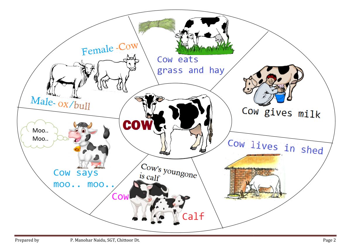 A cow eats grass and gives milk
