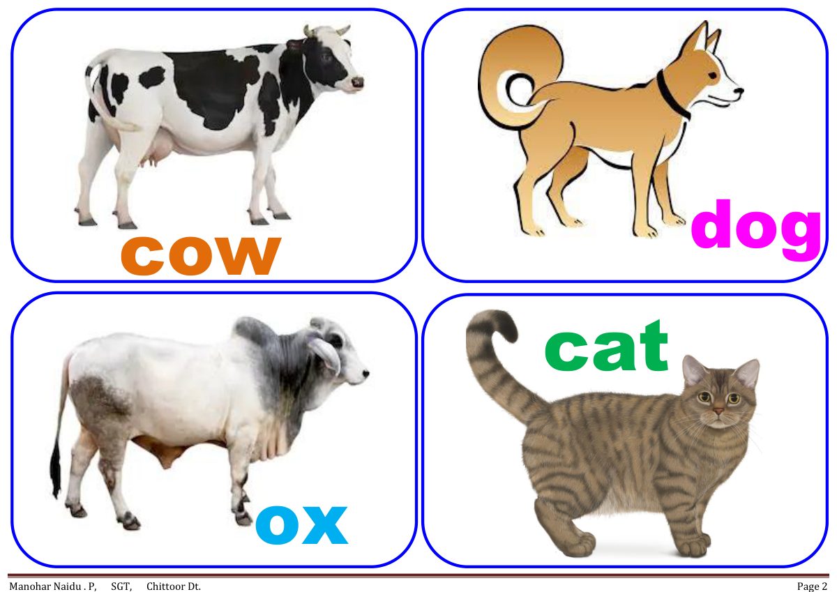 Twenty animals, and the sounds they make