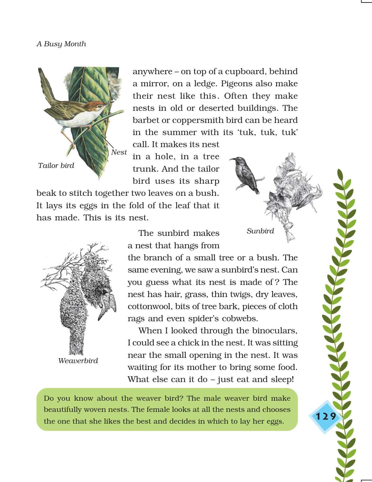 April, and the birds are building